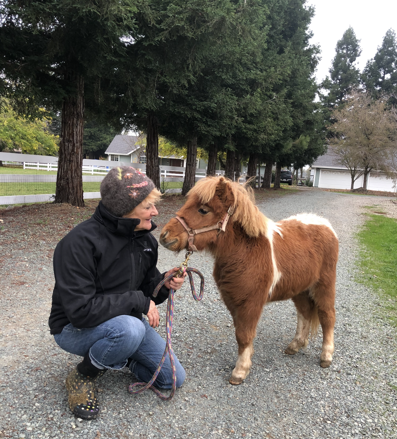 Nancy's patient and gentle approach with animals